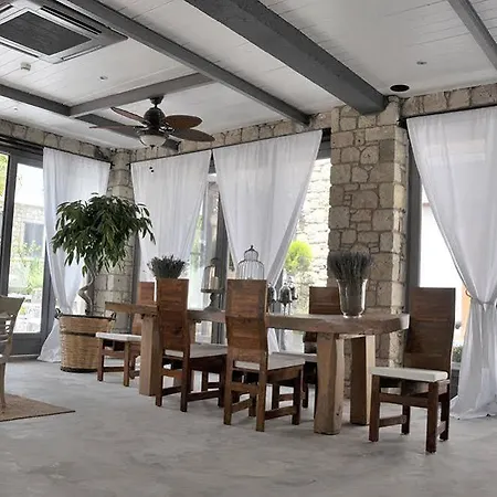 Ala - Special Category (adults Only) 알라카티