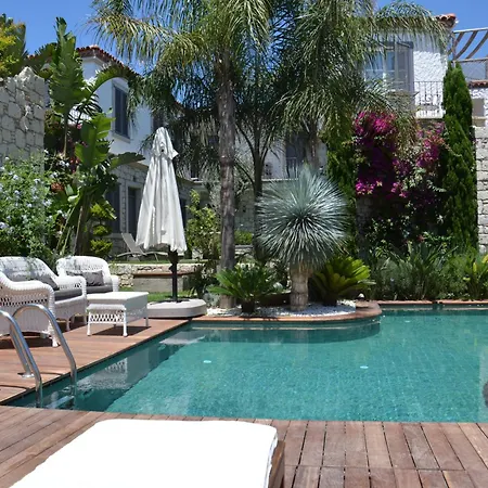 Ala - Special Category (adults Only) 호텔 알라카티