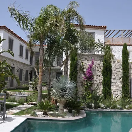 Ala - Special Category (adults Only) 4* 알라카티