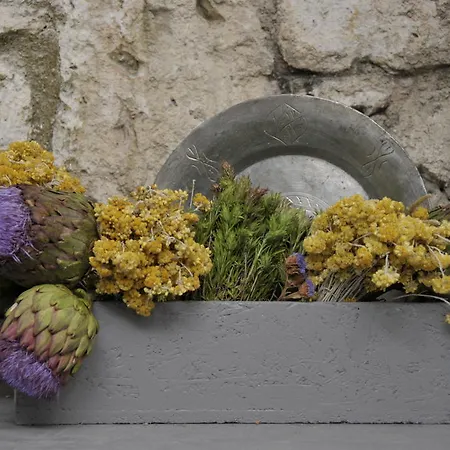 호텔 Ala - Special Category (adults Only) 알라카티