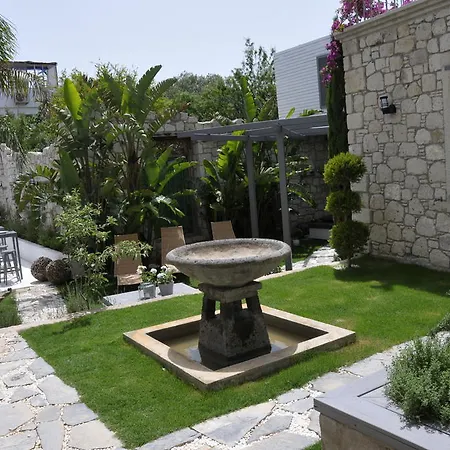 Ala - Special Category (adults Only) 알라카티