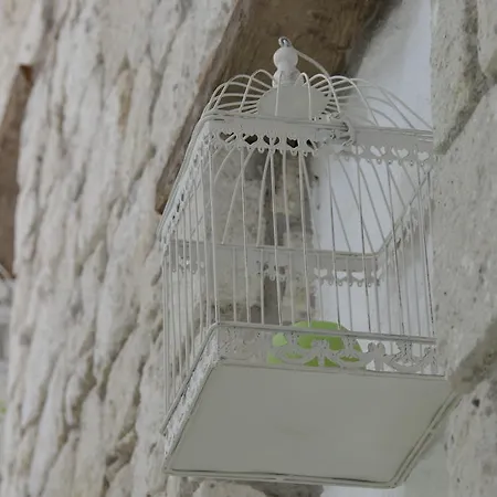 호텔 Ala - Special Category (adults Only) 4*