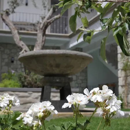 호텔 Ala - Special Category (adults Only)