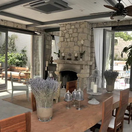 Ala - Special Category (adults Only) 알라카티