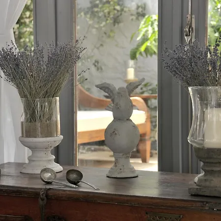 Ala - Special Category (adults Only) 알라카티