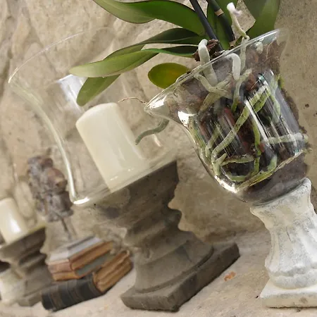 호텔 Ala - Special Category (adults Only)