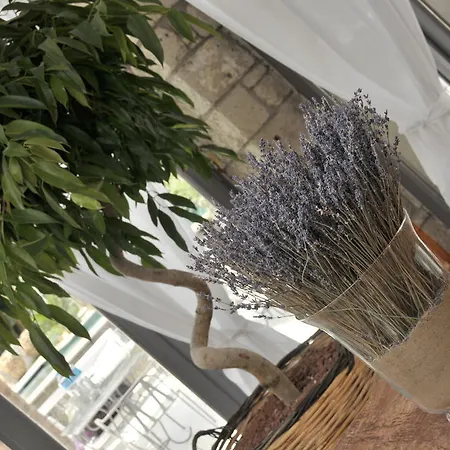 호텔 Ala - Special Category (adults Only)