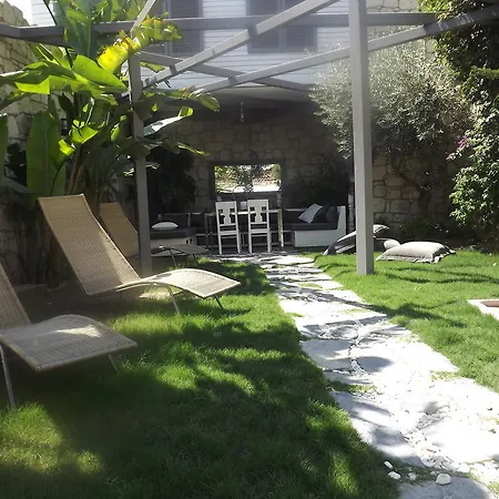 Ala - Special Category (adults Only) 알라카티