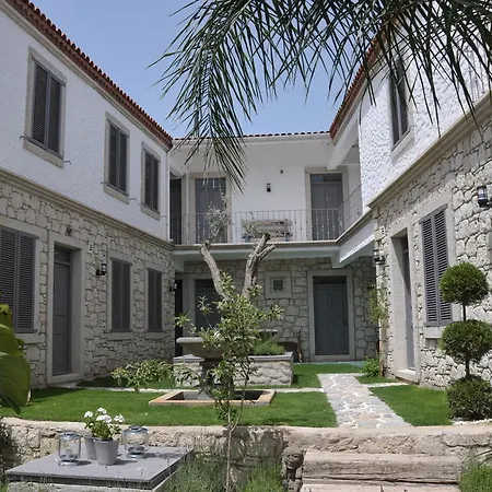 Ala - Special Category (adults Only) 알라카티