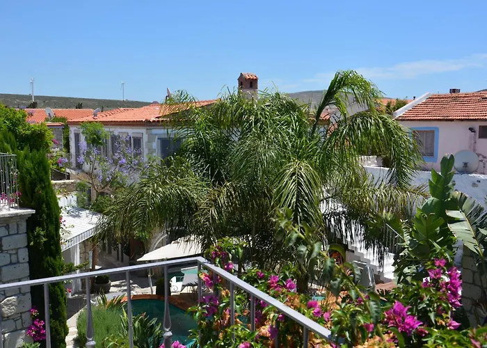 Ala - Special Category (adults Only)