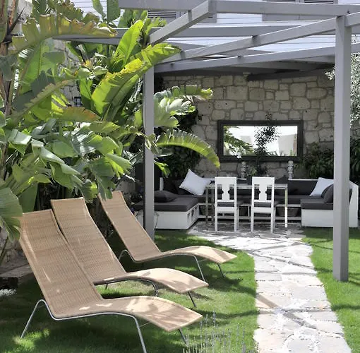 Ala - Special Category (adults Only)