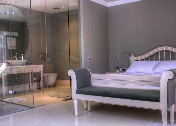 Hotel Ala - Special Category (adults Only)