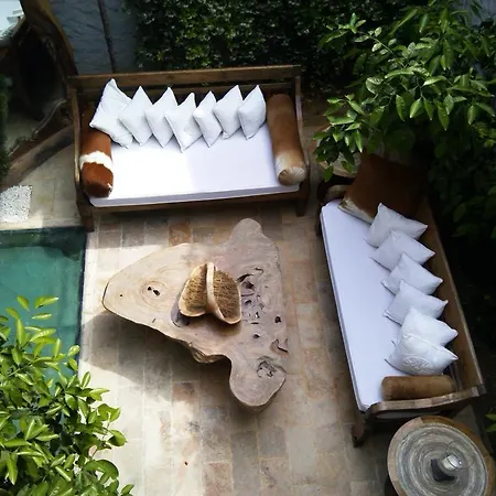 Ala - Special Category (adults Only) 4* ألاتشاتي