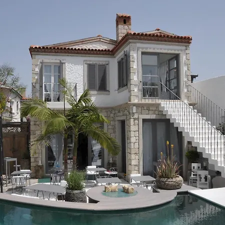 Ala - Special Category (adults Only) アラカティ