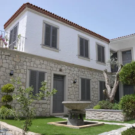 Ala - Special Category (adults Only) 4* アラカティ