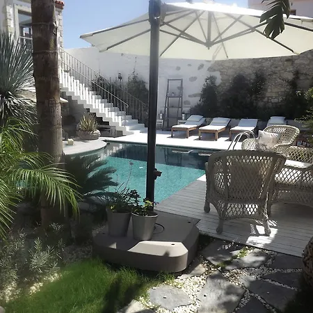 Hotell Ala - Special Category (adults Only)