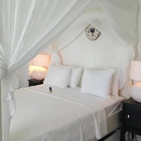 Hotell Ala - Special Category (adults Only) 4*