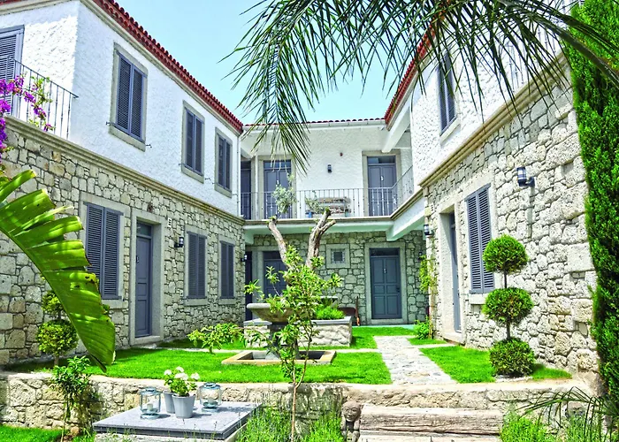 Ala - Special Category (adults Only)