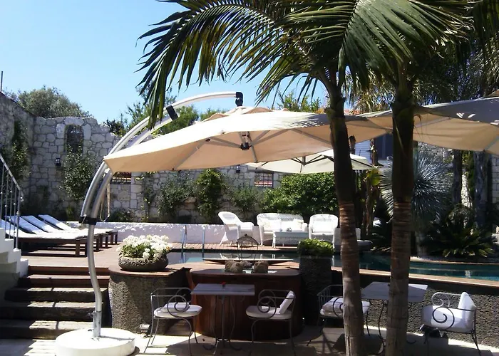 Hotell Ala - Special Category (adults Only)