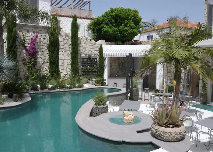 Hotell Ala - Special Category (adults Only)