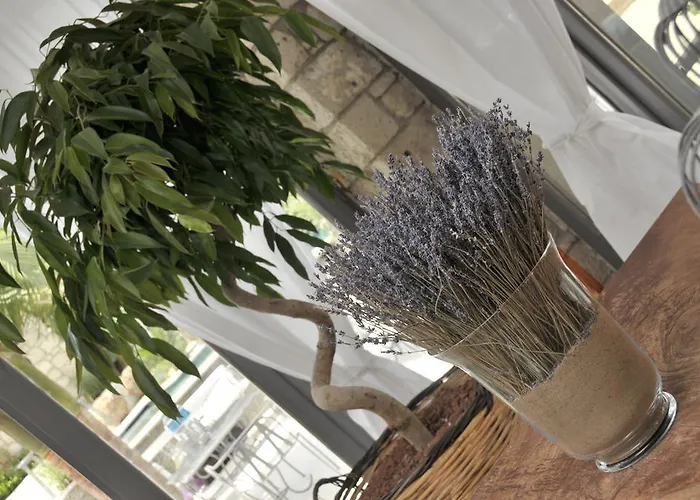 Hotell Ala - Special Category (adults Only)