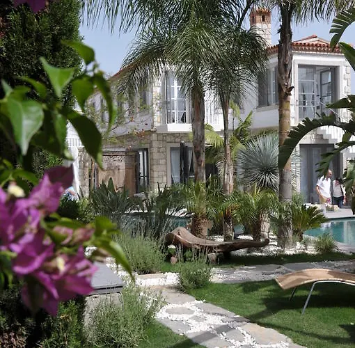 Ala - Special Category (adults Only)