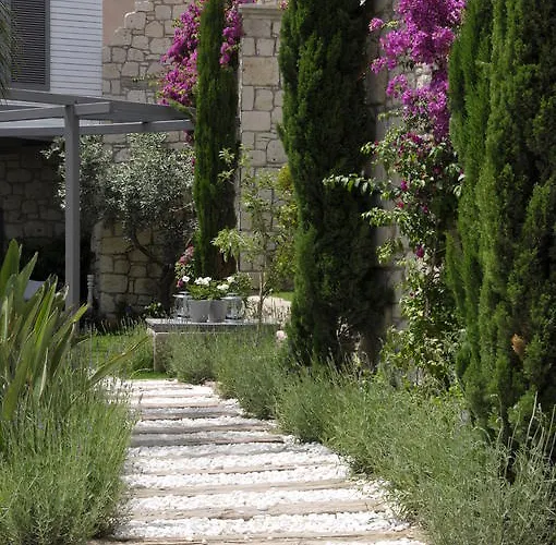 Ala - Special Category (adults Only)